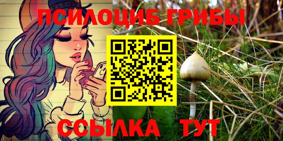 Чайковский  Псилоцибиновые грибы ЛСД  Вход с VPN  Псилоцибиновые грибы мухоморы 